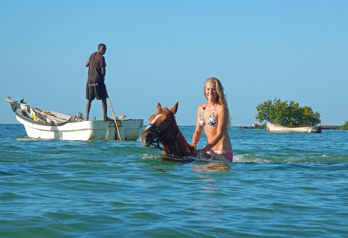 Beach Paradise Mozambique