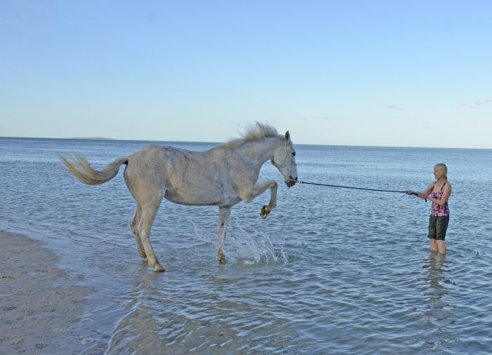 Beach Paradise Mozambique