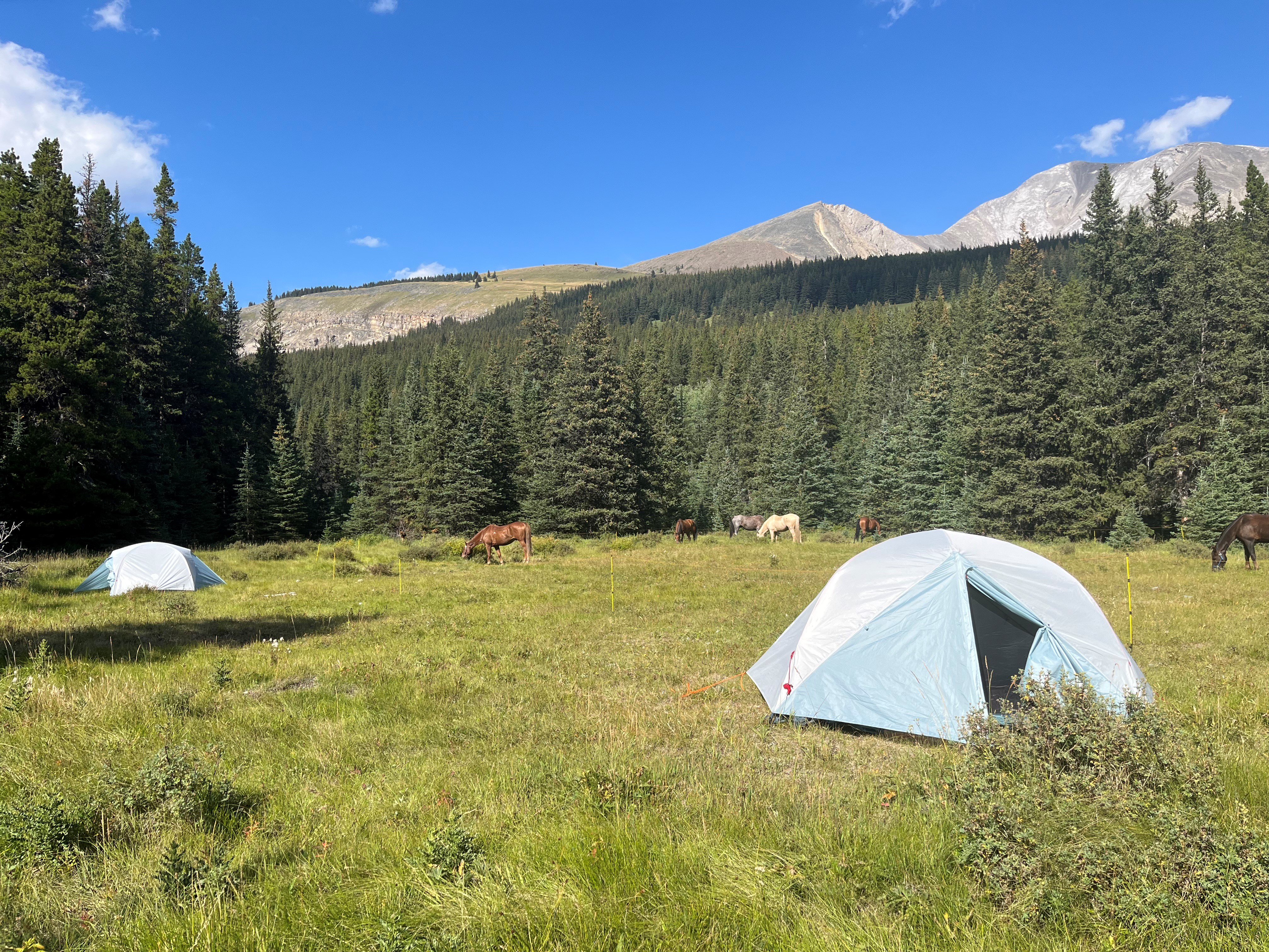 Kananaskis Country Ritte Accomodation