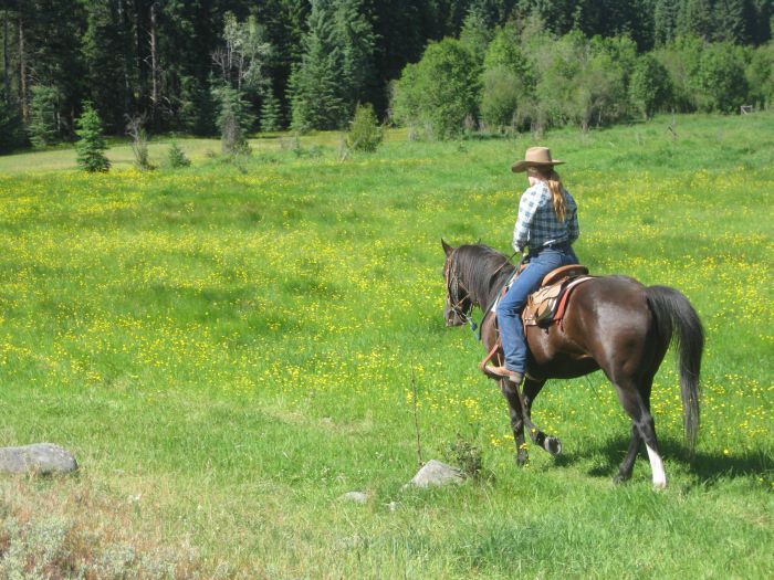 Cranbrook Cattle and Guest Ranch