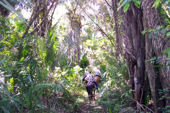 Mayan jungle ride with Caracol excursion