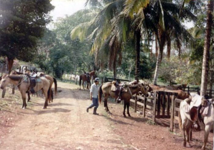 Mayan jungle ride with Caracol excursion