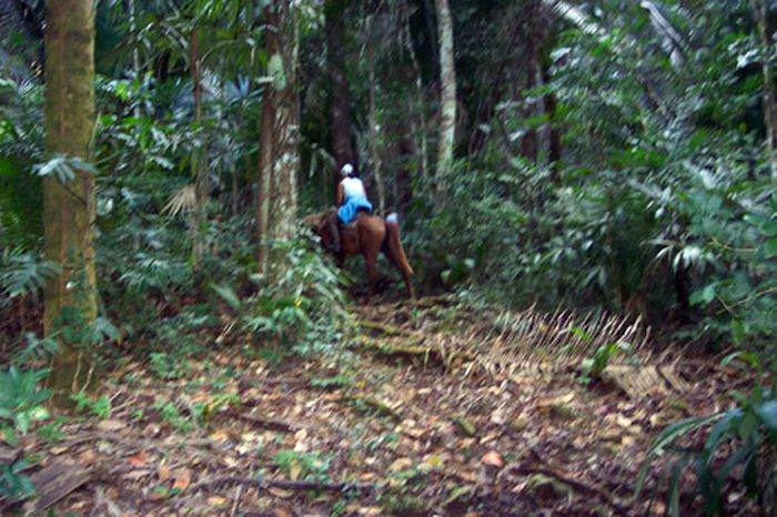 Mayan jungle ride with Caracol excursion