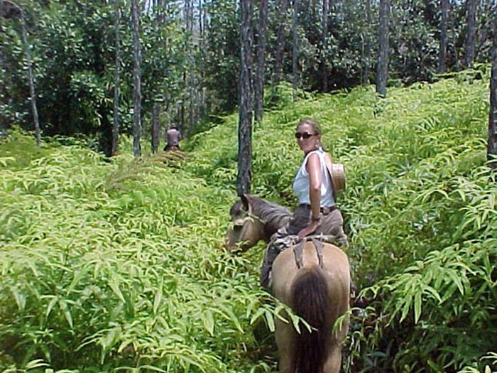 Mayan jungle ride with Caracol excursion