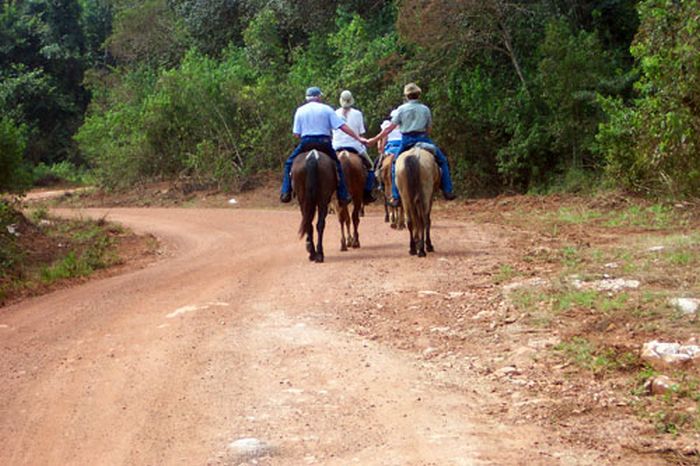 Mayan jungle ride with Caracol excursion