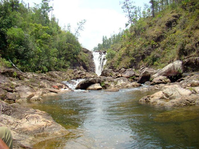 Mayan jungle ride with Caracol excursion