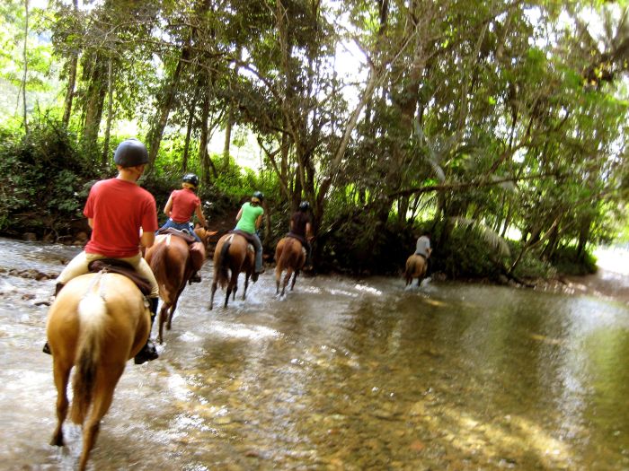 Mayan jungle ride with Caracol excursion