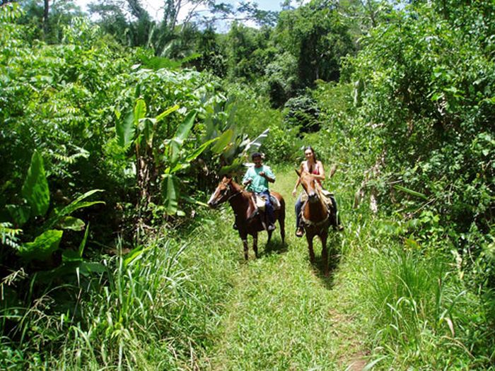 Mayan jungle ride with Caracol excursion