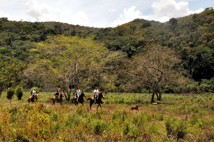 Mayan jungle ride with Caracol excursion