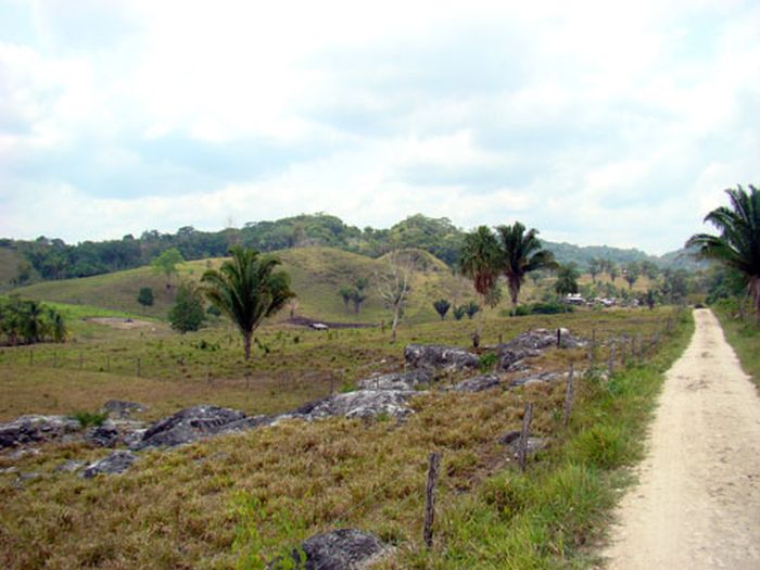 Mayan jungle ride with Caracol excursion