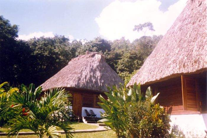 Mayan jungle ride with Caracol excursion