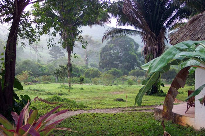 Mayan jungle ride with Caracol excursion