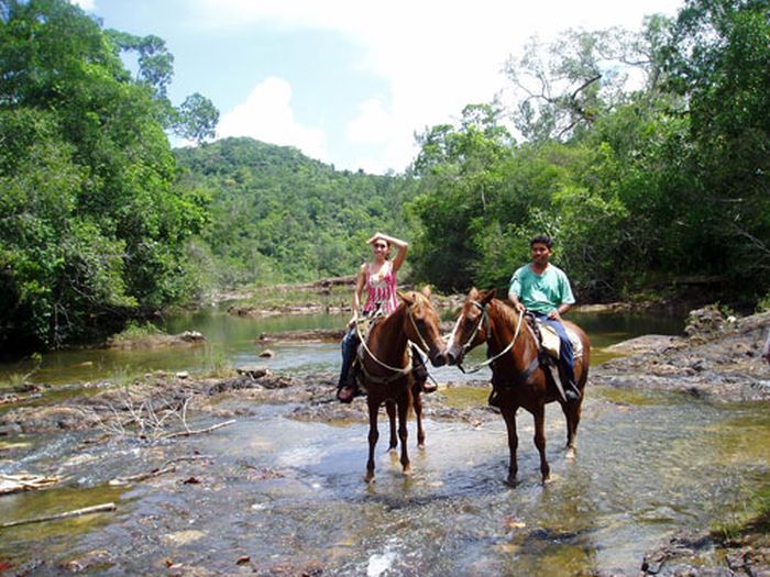 Mayan jungle ride with Caracol excursion