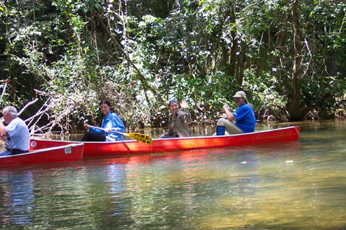 Mayan jungle ride with Caracol excursion
