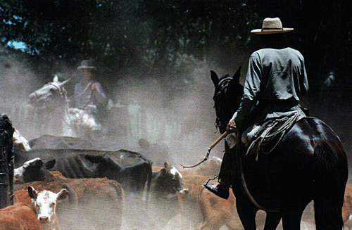 Reiten in Argentinien