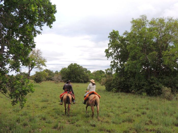 Pantanal Ride