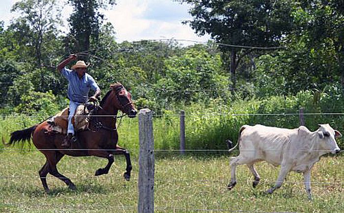 Pantanal Ride