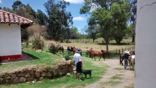 Colombian Hacienda Trail