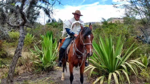 Colombian Hacienda Trail