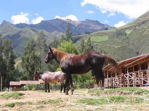 Inka Trail Classic