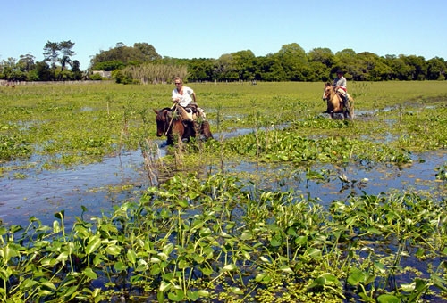 Laguna Negra Estancias Ride