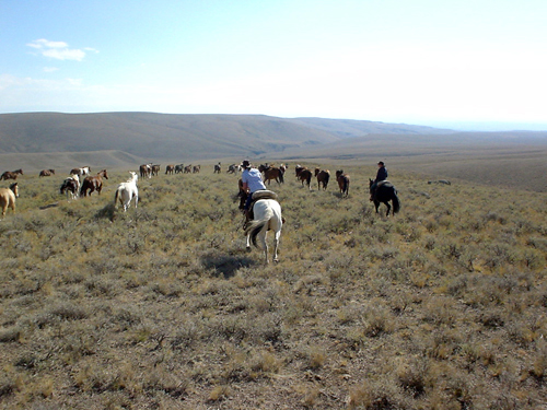 Medicine Lodge Horse Drive