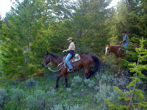 Medicine Lodge Horse Drive