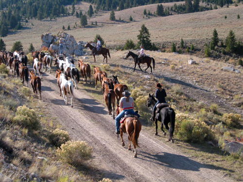 Medicine Lodge Horse Drive