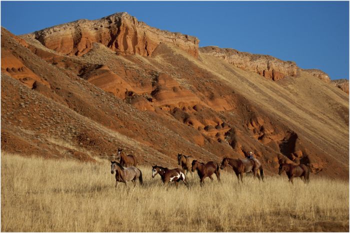 Bighorn Mountain Ranch
