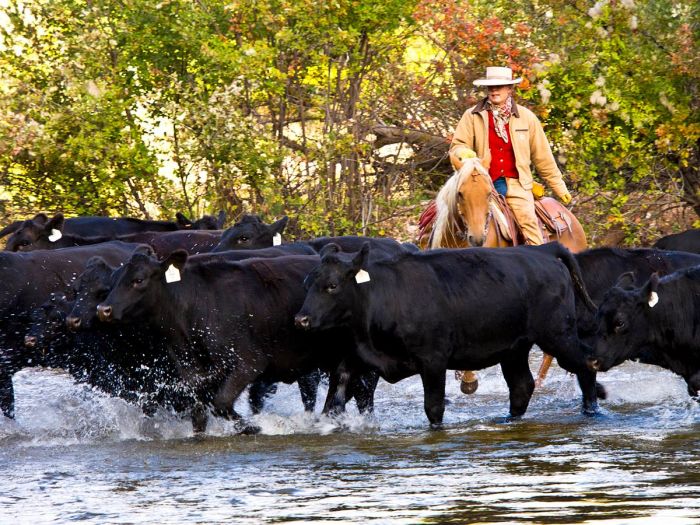 Bighorn Mountain Ranch