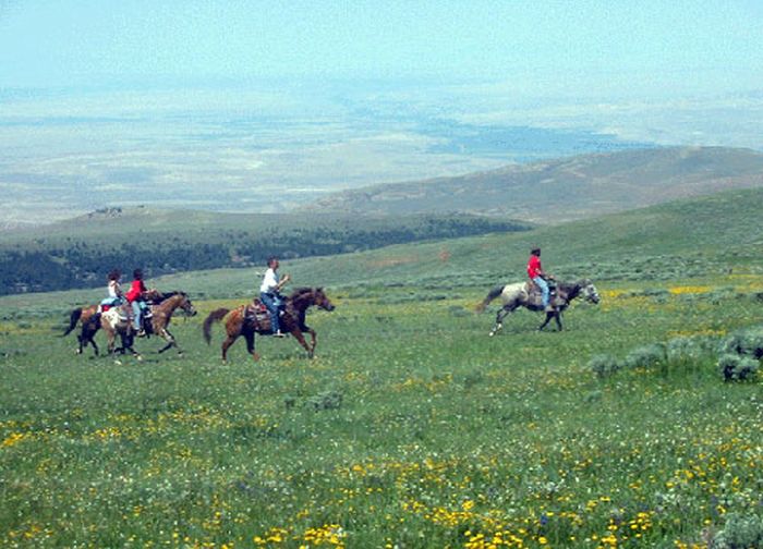 Bighorn Mountain Ranch