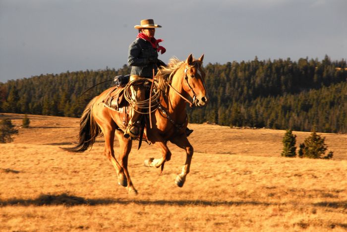 Bighorn Mountain Ranch