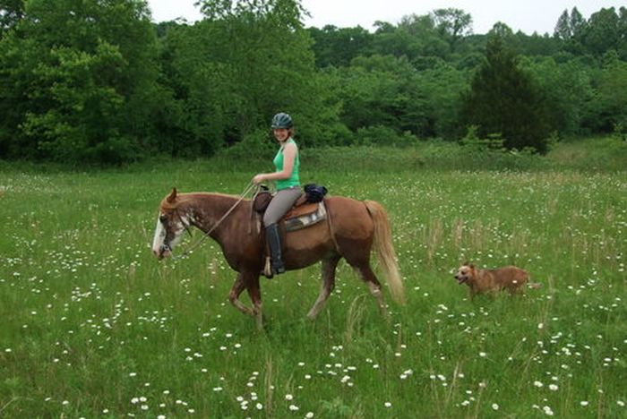Missouri Fox Trotter Ride