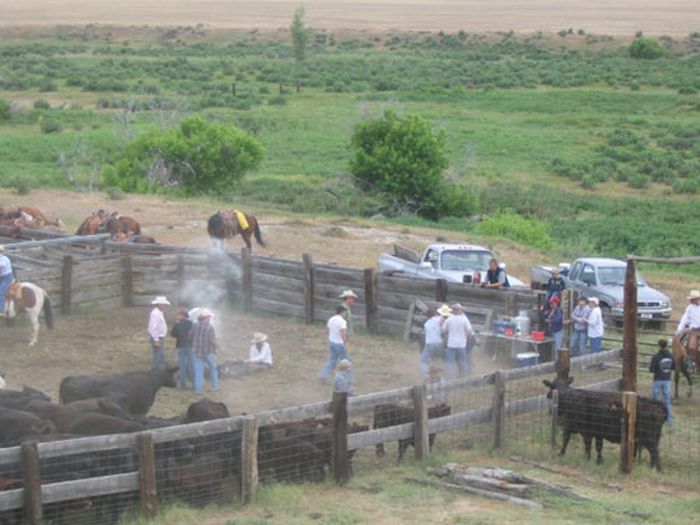 Ranches