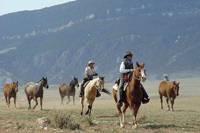 Ranches
