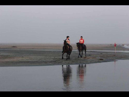 Horse riding and culture in Assam