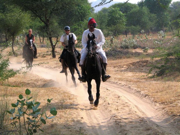 Castle Trail in Rajasthan