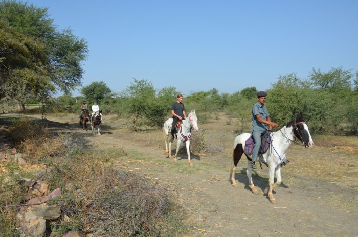 Mewar Trail, Riding Safari in Northern India