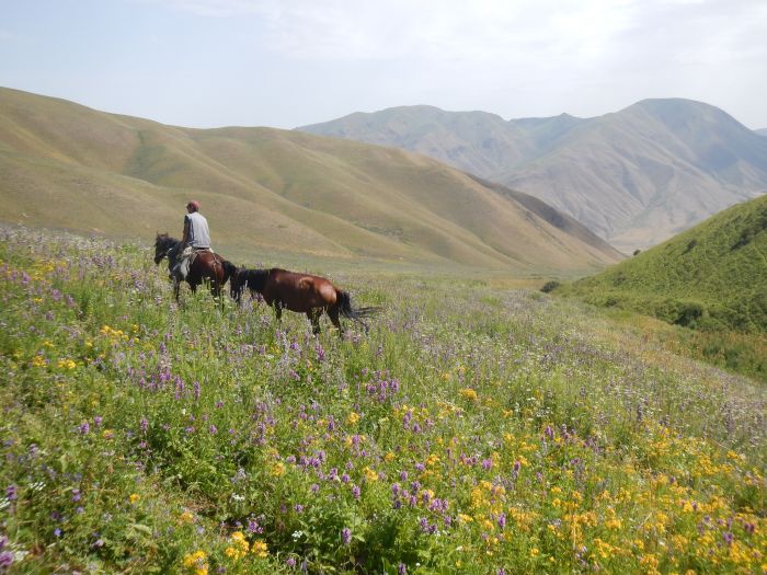 Kyrgyzstan Crossing