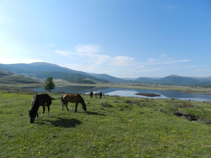 Central Mongolia and nomadic steppes