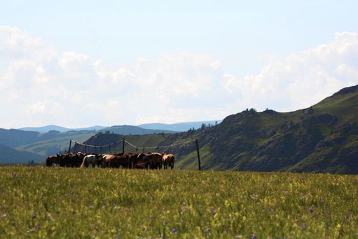 On the Trail of Genghis Khan