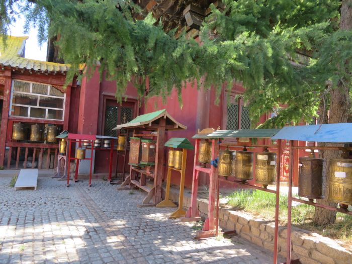 On the Trail of Genghis Khan