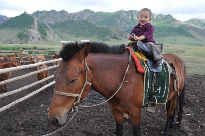 On the Trail of Genghis Khan