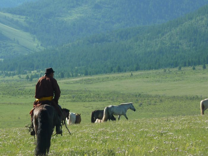 On the Trail of Genghis Khan