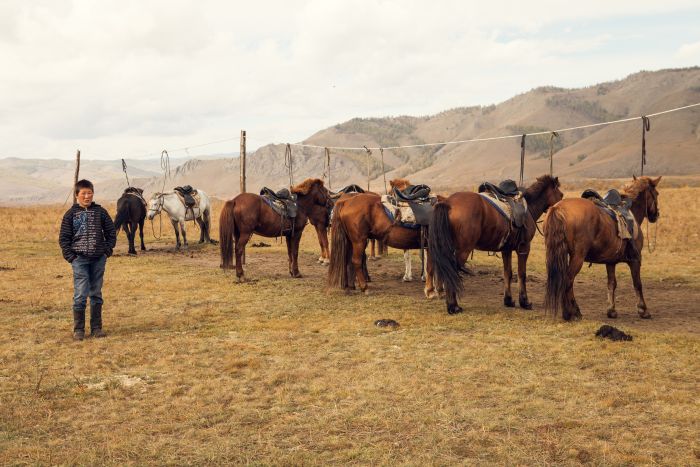 On the Trail of Genghis Khan