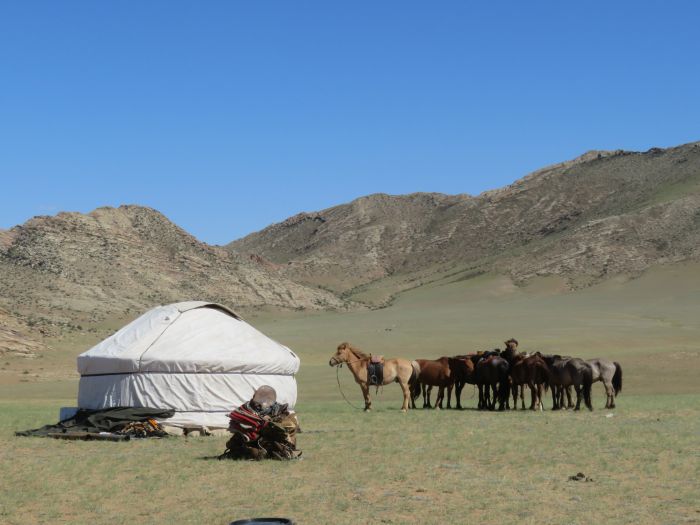 Gobi Steppe Ride