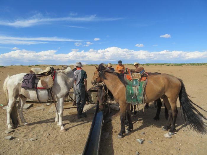 Gobi Steppe Ride