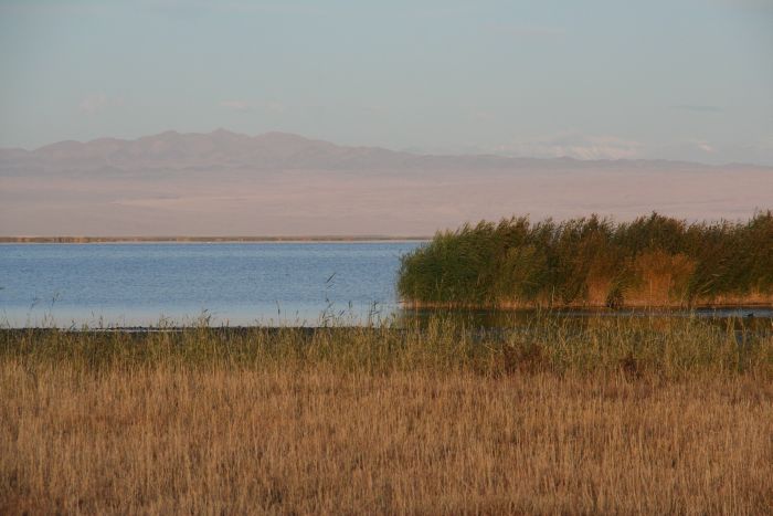 Gobi Steppe Ride