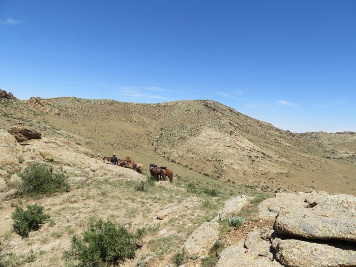 Gobi Steppe Ride