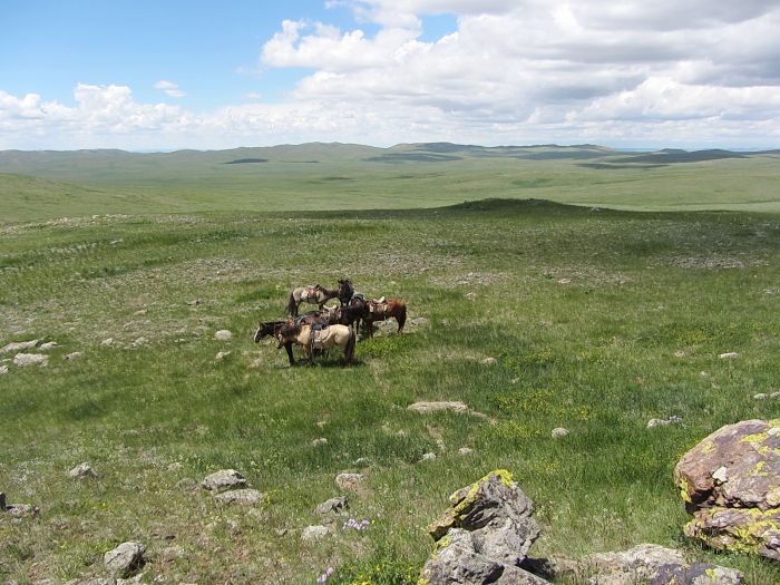 Gobi Steppe Ride